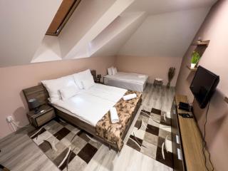 Fehér Akác Wellness Vendégház - 1