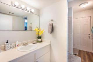 Las Vegas Fun in the Sun, Strip - Las Vegas - 8