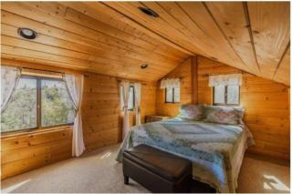 Cozy Cabin Hot Tub Sauna Fireplace - 7