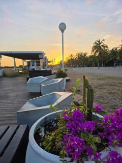 APUSHI with hammocks, close to the beach - 8