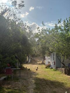 Güneş Tatil Köyü - 5