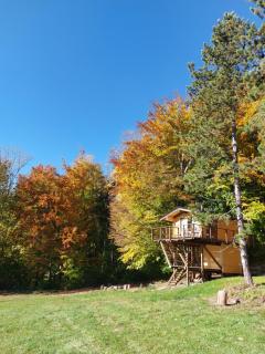 Treetop Tiny House Pod Korunami - 0