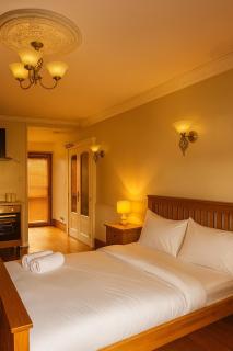 Elegant Vintage Stay Near Airport & NEC - 3