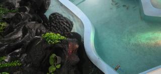 Royal Mount Palace - 1