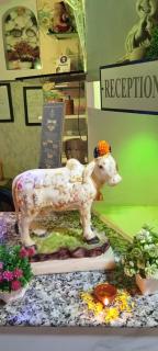 Hotel shree ji palace - 5