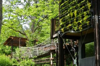 Zero Zero Treehouse - 7