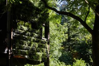 Zero Zero Treehouse - 4