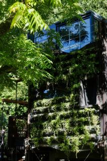 Zero Zero Treehouse - 2