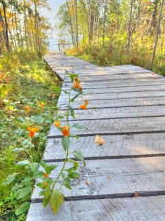 Poplar River Condos - 2