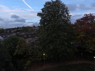 Spacious rooms Golders Green NW2 - 2