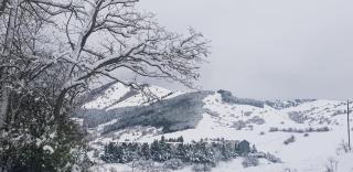 Fiocco di Neve - 9