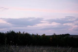 Bojanovská Glamping - 1