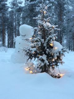 Skandinavian City home 76m2 - 8