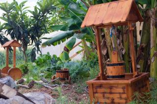 חוות אדמה ושמיים יבנאל - 7