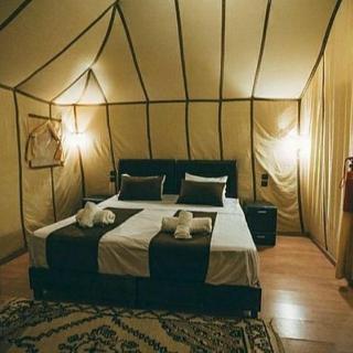 Arranging Holidays Camp - 8