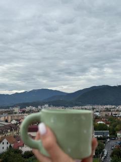 Green Spot Brasov - 0