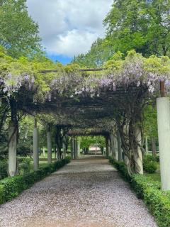 Casa Príncipe Pío - 3