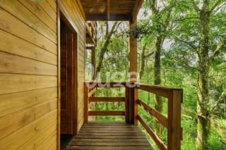 Suite Low – Among Gramado’s Forests - 1