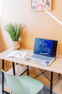 Nid confort proche du canal du midi 2 terrasses Labège - 4