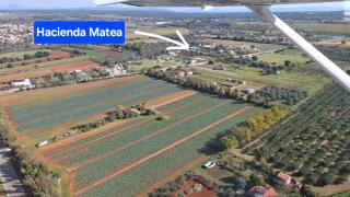 Hacienda MATEA - oasis of romance near the beaches, surrounded by olive trees, pool, jacuzzi and playground, Pula - Istria - 8