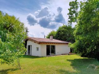 Réveil au chant des Oiseaux - 0