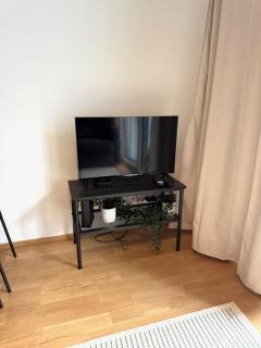 Central, Brand New Apartment with Big Garden - 2