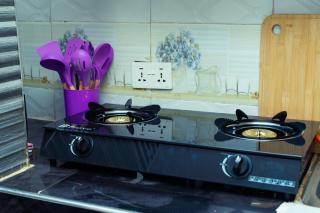 Dreamland Apartments - 2