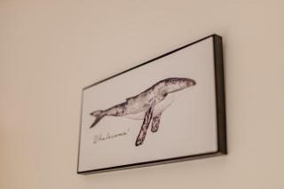 Studio Aconchegante e Moderno - 9