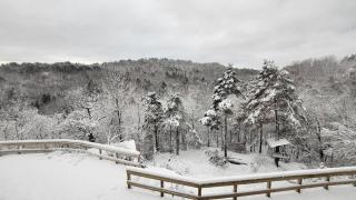 Kristiansand Apartment with Forrest View - 6