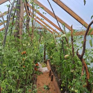 Ecopuelo Departamentos - 1