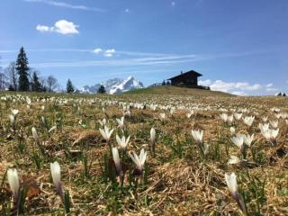 Ferienwohnung Theresia - 6