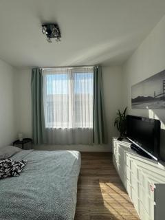 ROVAO Apartment, 1-2 guests, Free Parking & Wifi, 30min from Downtown - 7