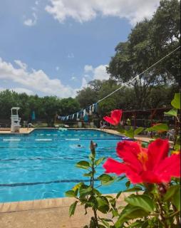 Peaceful cottage - 8