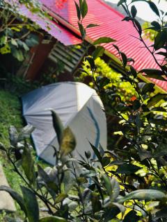 Le Petit Paradis - 8