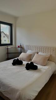 Appartement neuf - 10 minutes de Colmar - Parking gratuit - 7