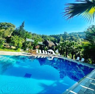 donkisot dogal yasam - 2