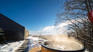 Rosochata 313 Domek w górach z Sauną Jacuzzi Basenem "Panieński" ruska Bania -  - 7