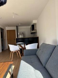 Espectacular apartamento a estrenar Punta Carretas - 9