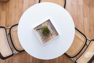 Exclusividad y Confort en Punta Carretas apto 103 - 1