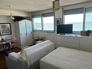 Comodo mono en Ciudad Vieja - 5