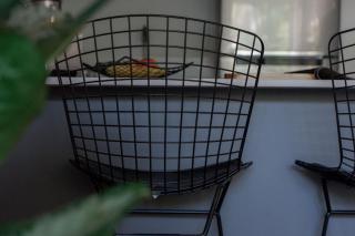 Exclusividad y Confort en Punta Carretas apto 202 - 2