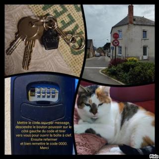 Chambre chez l'habitante "Bambou" - 4