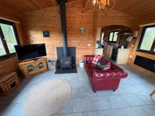 Brynmeini Lake Lodge - 6