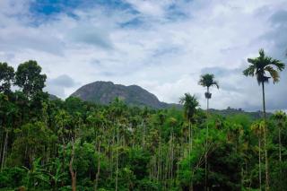 Mountain Vibes Wayanad Pool Villa and Spa - 6
