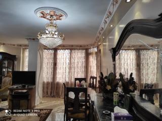 Cozy and Sunlit Apartment 6 October - 0