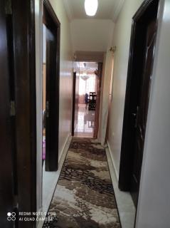 Cozy and Sunlit Apartment 6 October - 5