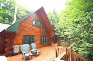 Kawagama Shoreline - 7