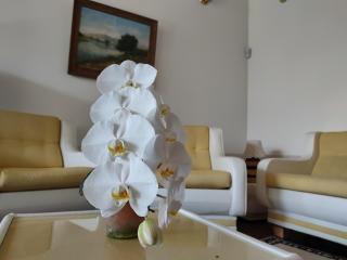 por do sol na montanha - 0