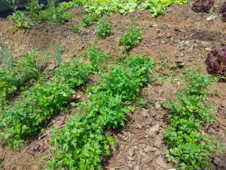 por do sol na montanha - 2