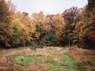Cozy A-Frame Getaway Minutes from Nelson Ledges - 4